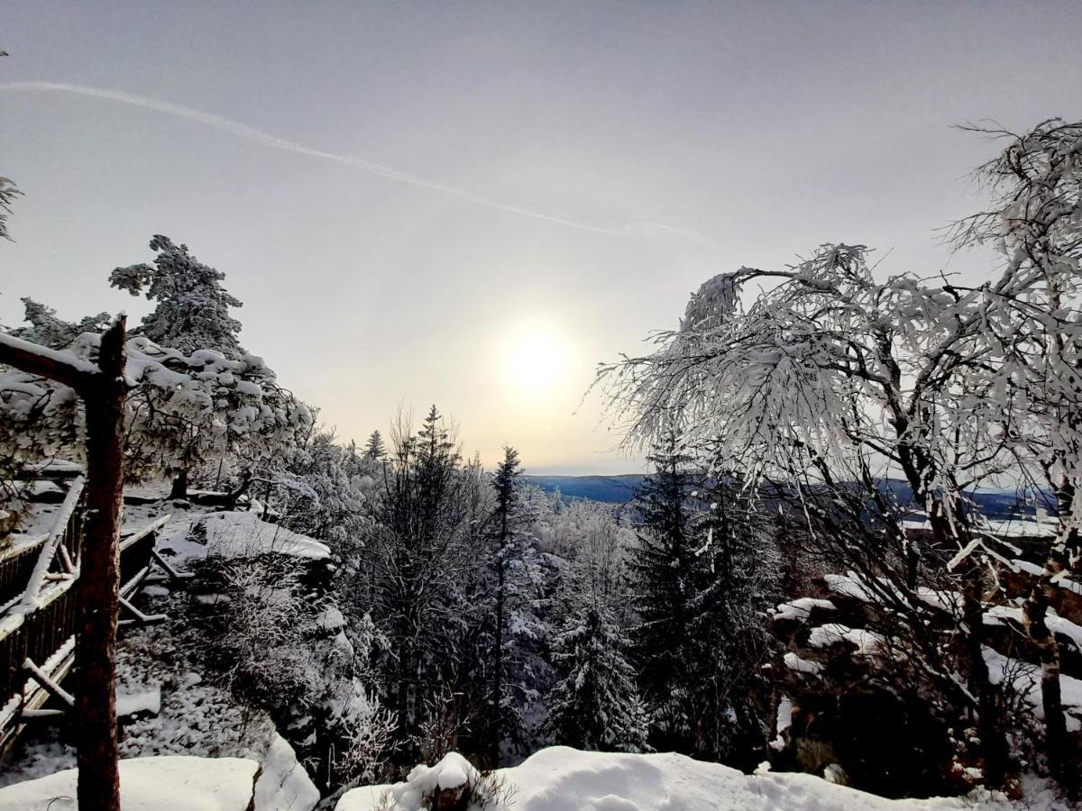 Ferienhaus Angel Weitra Exteriör bild